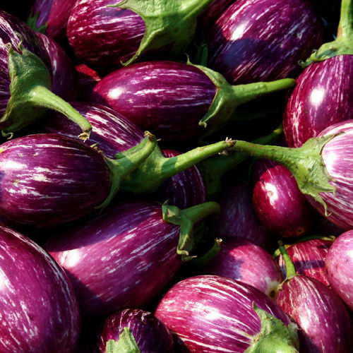 Fresh Brinjal - Preserving Compound: Chemical Preservatives As Per Norms