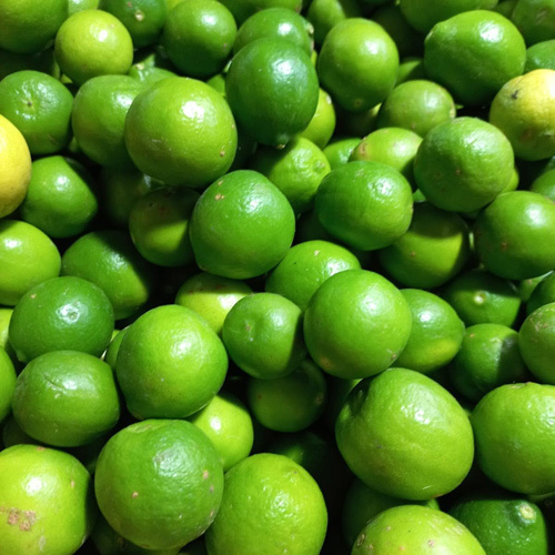 Fresh Organic Lemon