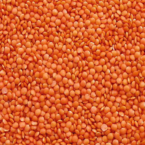 Masoor Dal - Cultivation Type: Organic