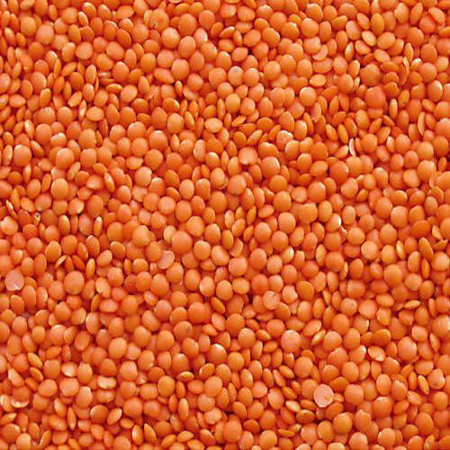 Masoor Dal