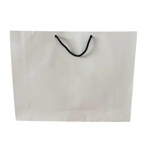 White Paper Carry Bag