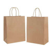 Craft Paper Carry Bags - 16x12 Inches | Brown Kraft Paper, Recyclable, Customizable Designs & Logos, Holds Up to 2 kg