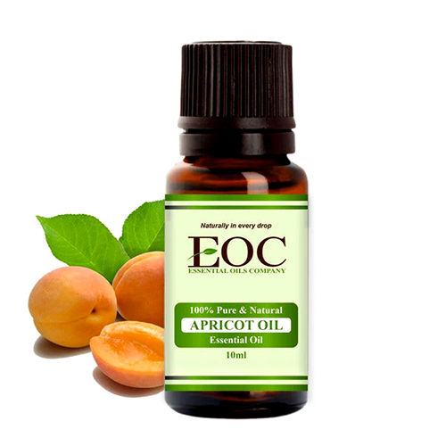 Apricot Oil - Purity: 100%