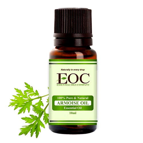 Armoise Essential Oil - Purity: 100%