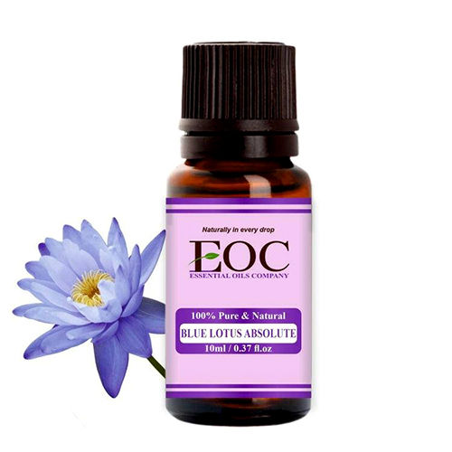 Blue Lotus Absolute Oil - Purity: 100%