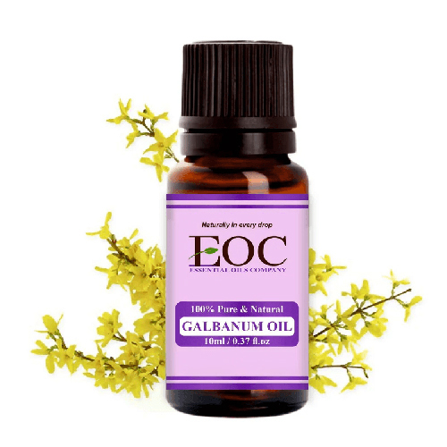 Galbanum Oil - Purity: 100%