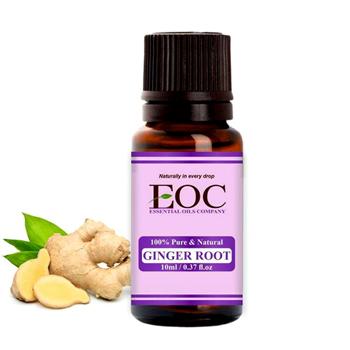 Ginger Root Oil