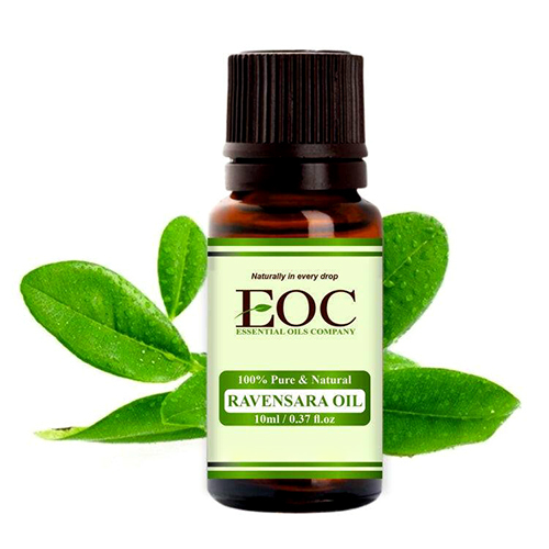 Ravensara Oil - Gender: Female