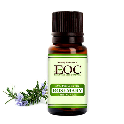 Rosemary Oil - Purity: 100%