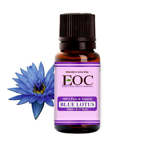 Blue Lotus Hydrosol Essential Oils - Purity: 100%