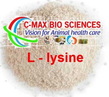 L - LYSINE manufacturer_ poultry feed supplement