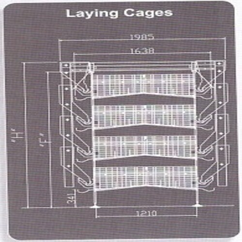 Poultry Layer Battery Cages - Feature: Good Quality