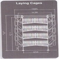 Layer Battery Cage