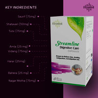 STREAMLINE DIGESTIVE CARE