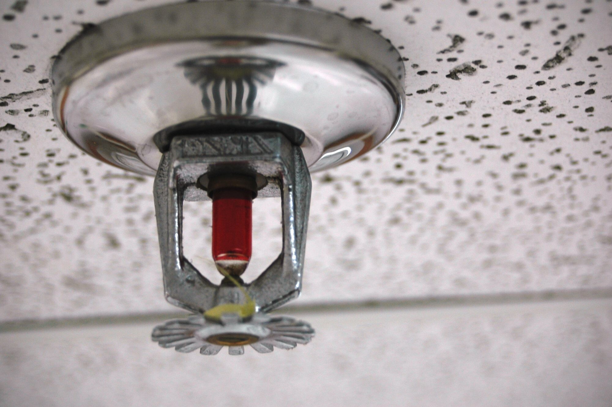 Automatic Sprinkler System - Application: Industrial