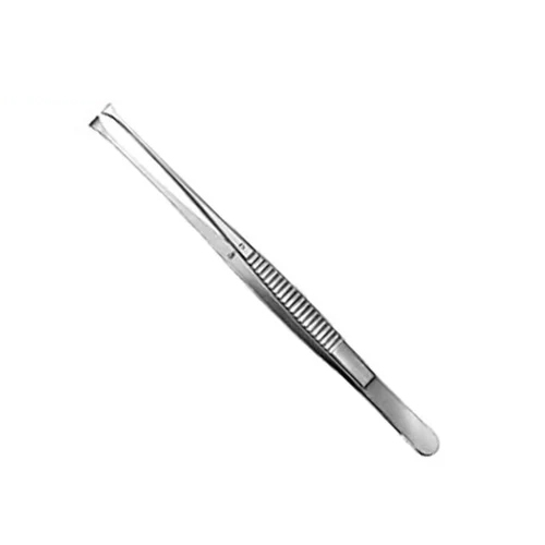 Russian Forceps Stainless Steel Standard Quality - Dimension (L*W*H): 8 Inch (In)