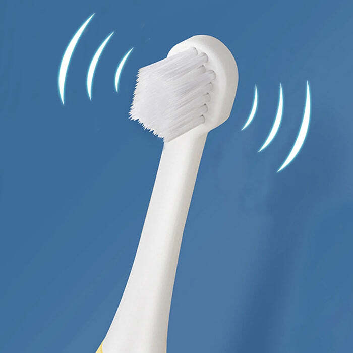 Adult Waterproof Electric Toothbrushs