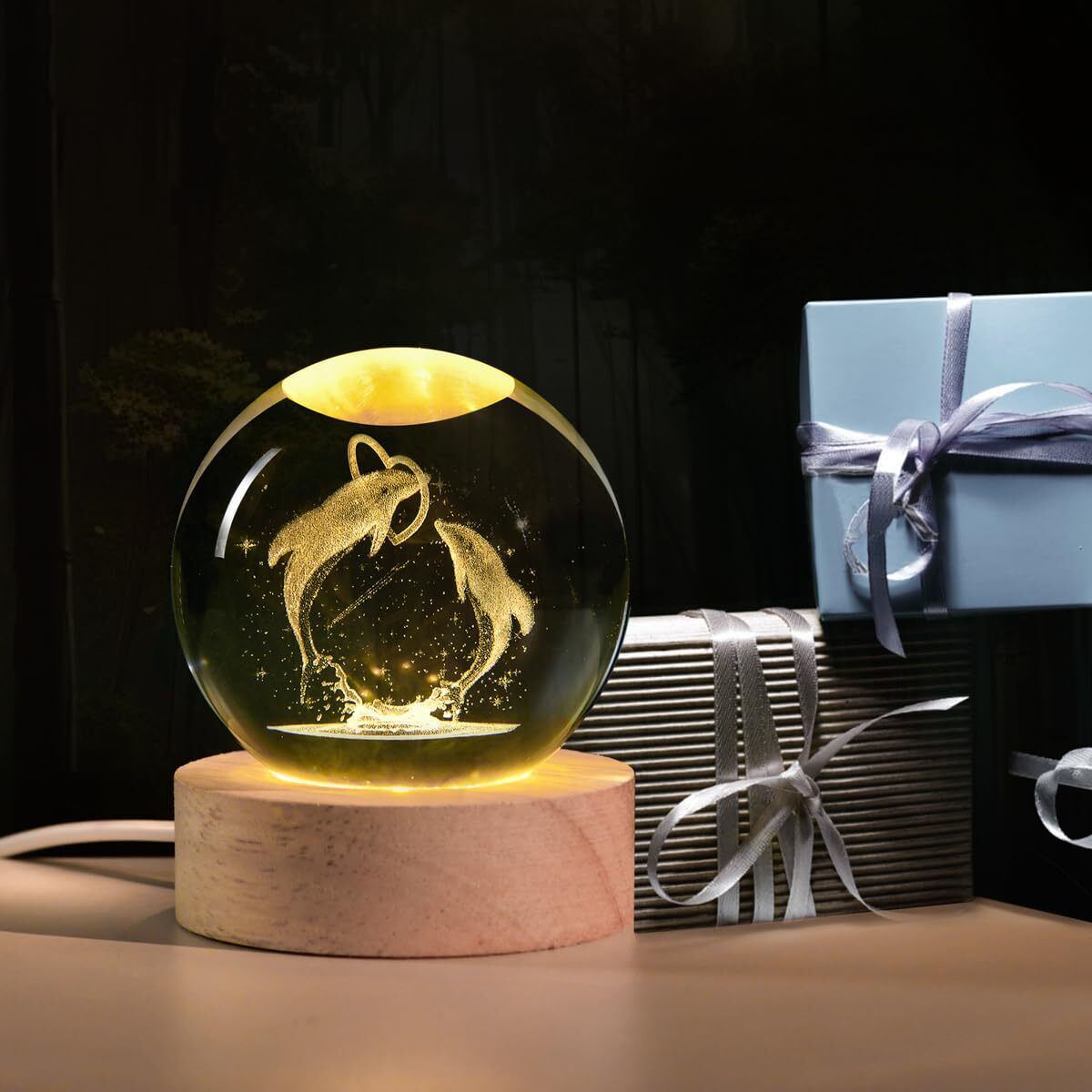 3D Dolphin Night Lamp