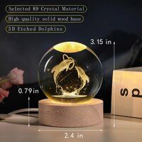 3D Dolphin Night Lamp