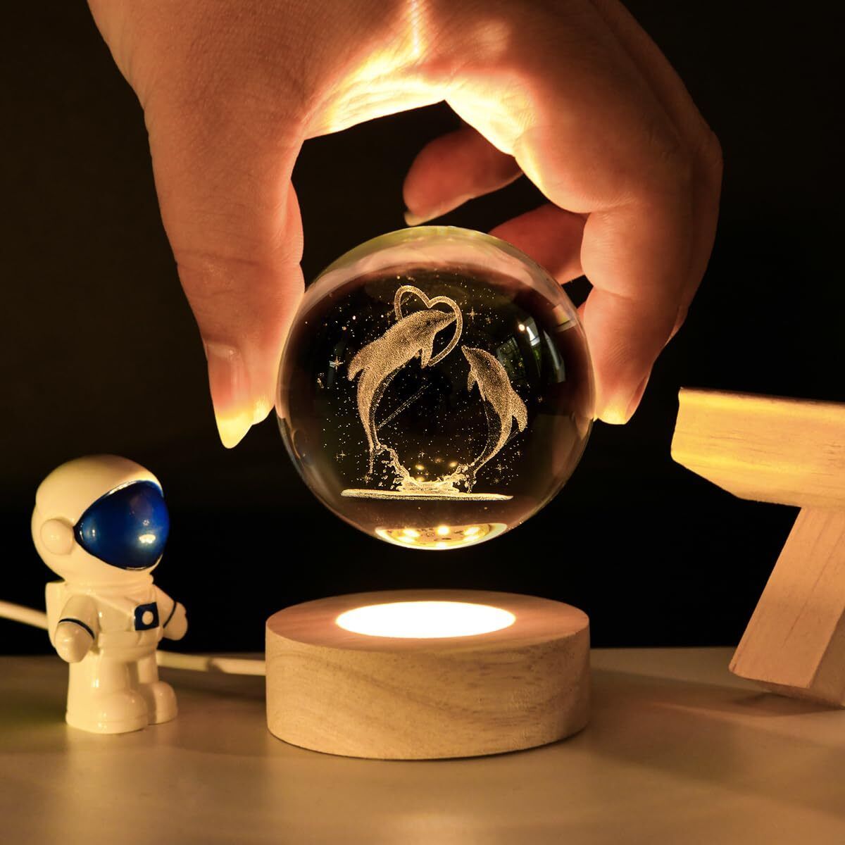 3D Dolphin Night Lamp