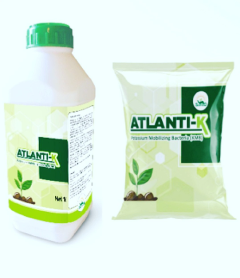 ATLANTI-K KMB LIQUID 1000ML