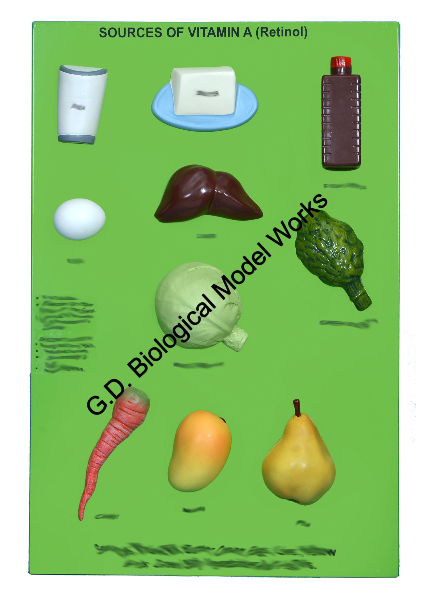 Sources Of Vitamin A-retinol Model - Color: Natural