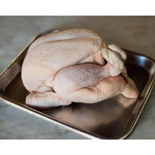 Frozen Whole Skin Chicken - Processing Type: Peeled