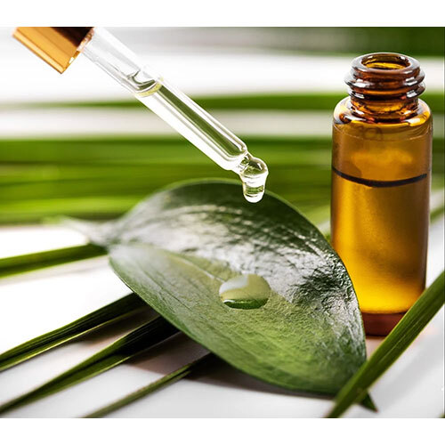 Tea Essential Oil