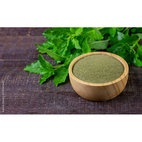 Tulsi Leaf Powder - Product Type: Herbal Product