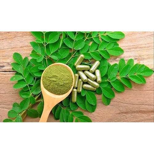 Moringa Powder - Grade: Food