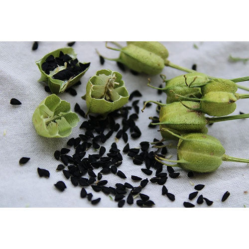 Black Cumin Seeds - Grade: Food