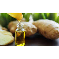 Ginger Oleoresin - Purity: High