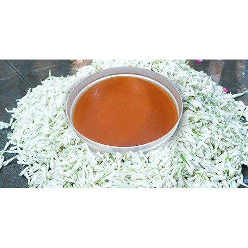 Tuberose Flower Concrete