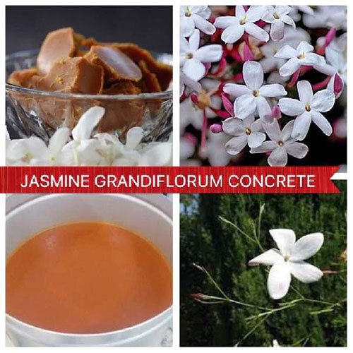 Natural Jasmine Grandiflorum Concrete