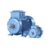Abb 3-phase Squirrel Cage Motor - Efficacy: Ie3