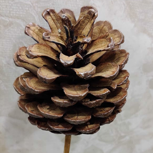 Aaf011 Dried Handmade Decorative Flower - Feature: Durable