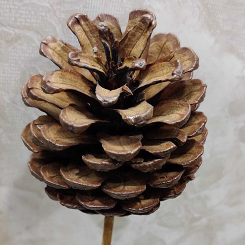 Dried Handmade Decorative Flower