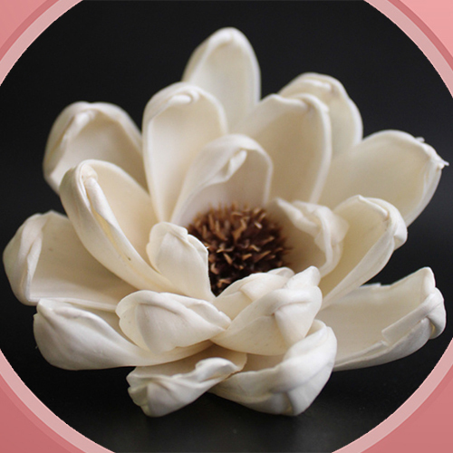 FSF002 Sola Wood Flower