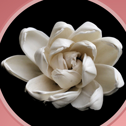 Sola Wood Flower