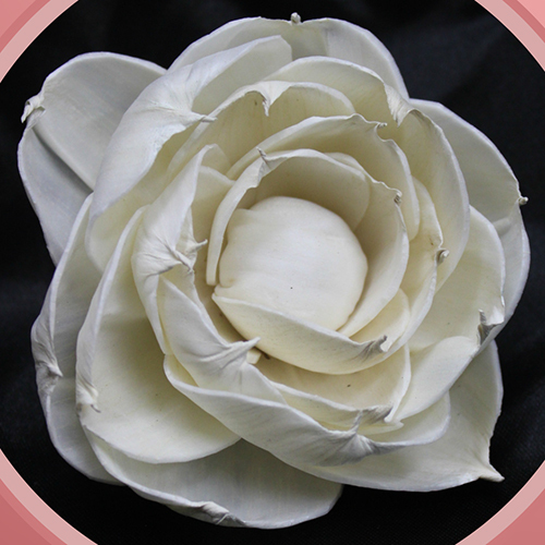FSF012 Sola Wood Flower
