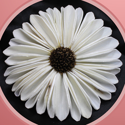 Sola Wood Flower