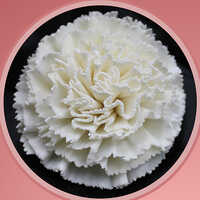 Sola Wood Flower - Feature: Durable