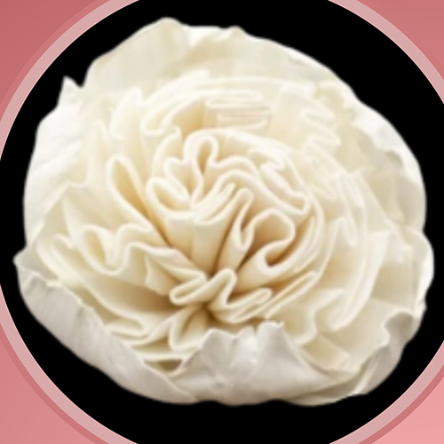 FSF046 Sola Wood Flower