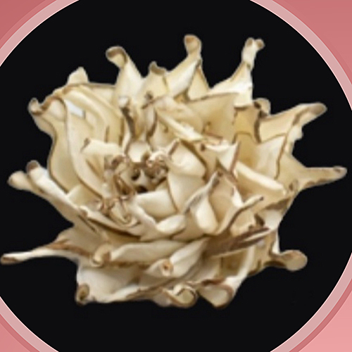 FSF055 Sola Wood Flower