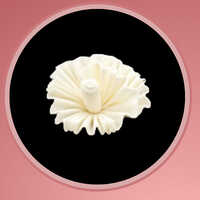 Sola Wood Flower - Feature: Durable