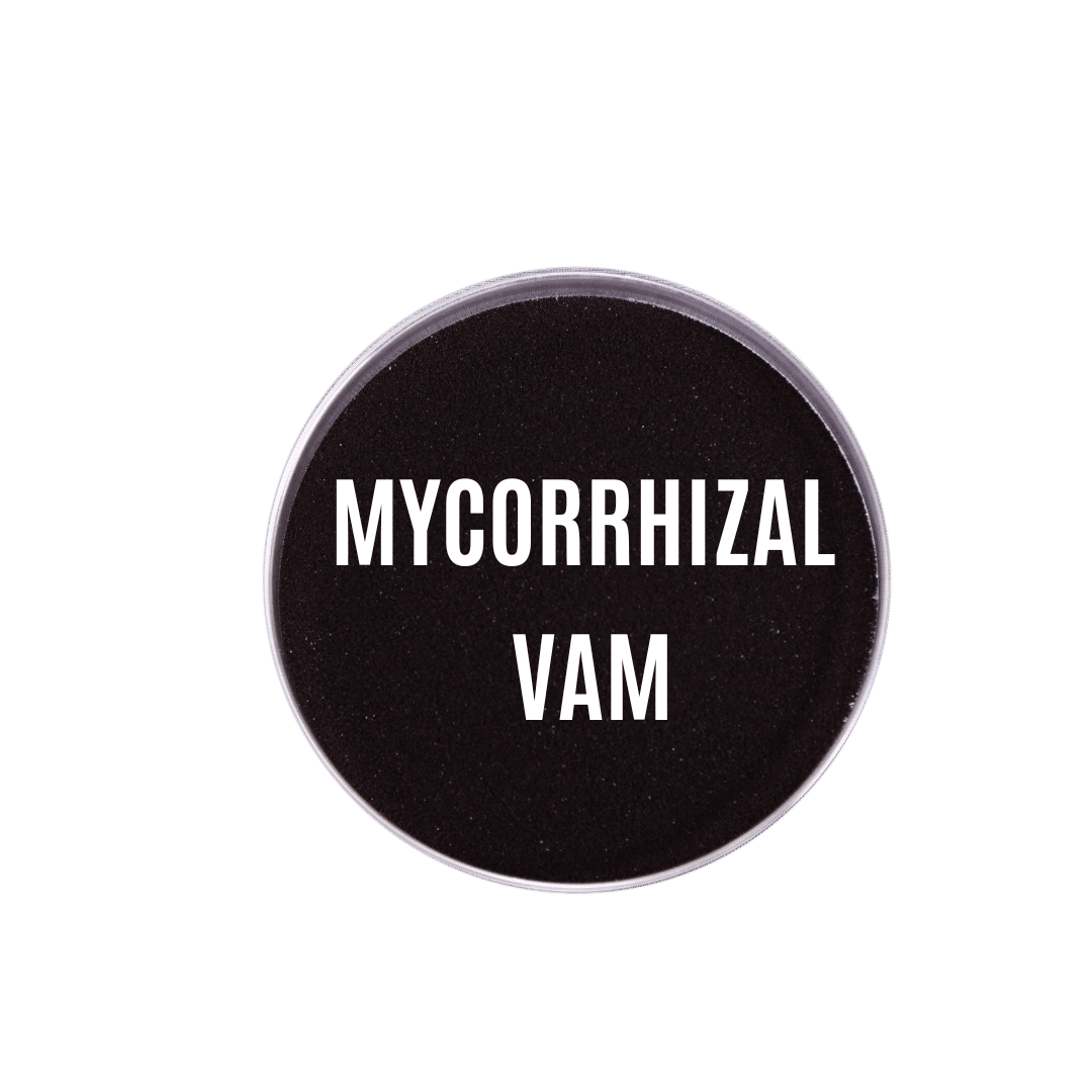 Mycorrhizal Vam Enzymatic Carrier Base