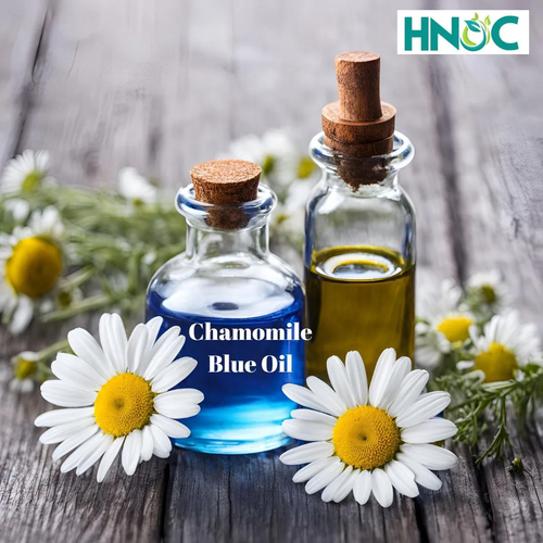 Chamomile Blue Oil