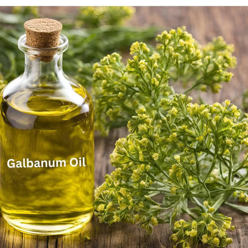 Galbanum Oil - 100% Natural Essential Oil, Fresh Green Balsamic Scent, Yellow Liquid, Steam Distillation, All Age Groups, 2-Year Shelf Life