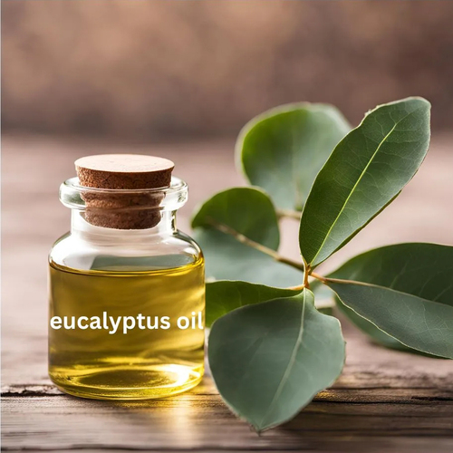 Eucalyptus Oil