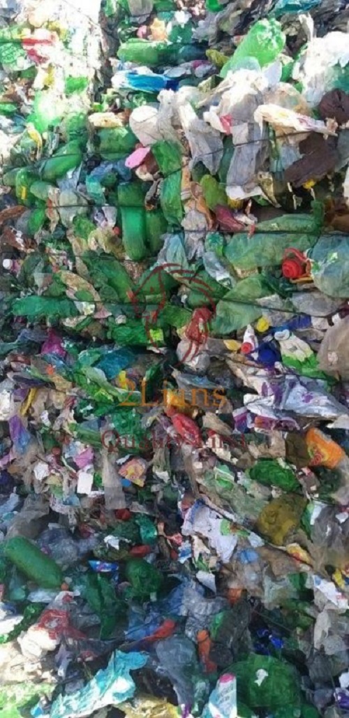 Pet Bottle On Bales Green Jazz